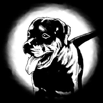 Haushund, Rottweiler