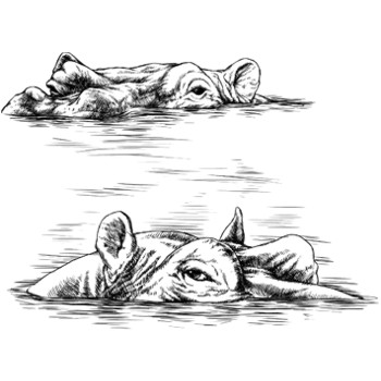 Flusspferd
