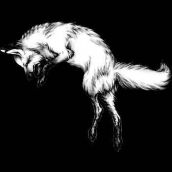 Fuchs, Rotfuchs