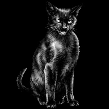 Hauskatze, Bombay-Katze
