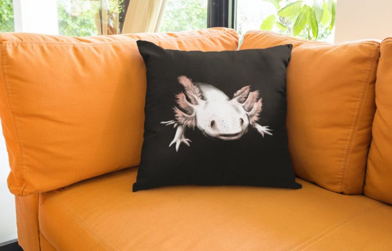 Axolotl Sofakissenbezug